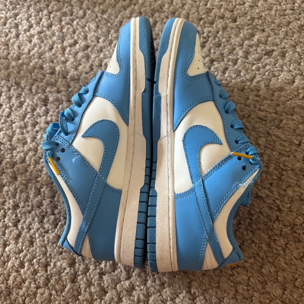 Low coast Nike dunks